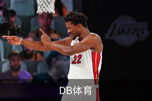 DB体育 公司简介